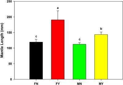 Microbial community characteristics of the intestine and gills of medium-form populations of Sthenoteuthis oualaniensis in the South China Sea
